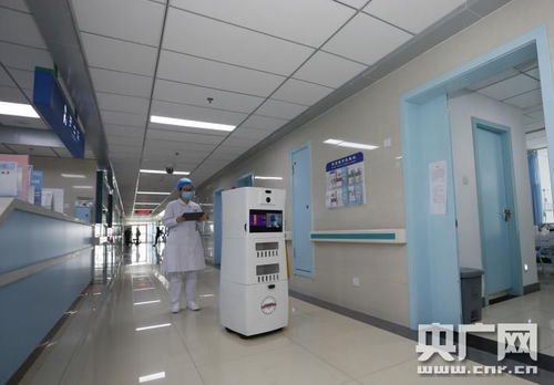 科研团队要攥紧拳头张开巴掌——记中国工程院院士、合肥工业大学教授杨善林的网络工程之道