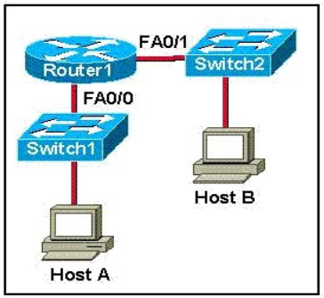 网络工程综合技术知识概览与典型选择题解析