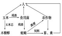 生态工程加环设计 以玉米芯生产木糖醇为例的效率与价值分析